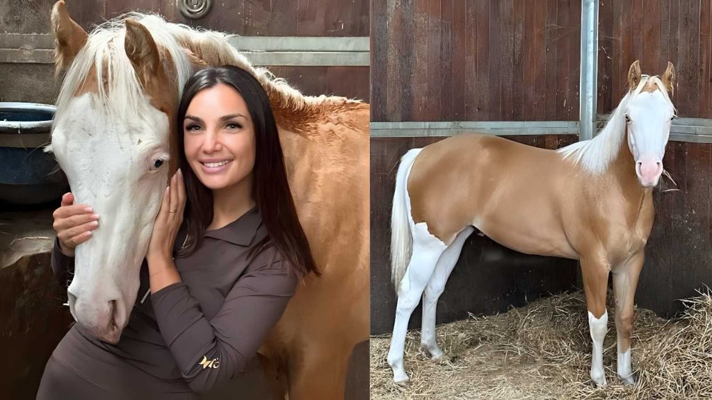 Elettra Lamborghini celebra il compleanno del cavallo Dadi con una torta fatta in casa: Sei il mio tutto