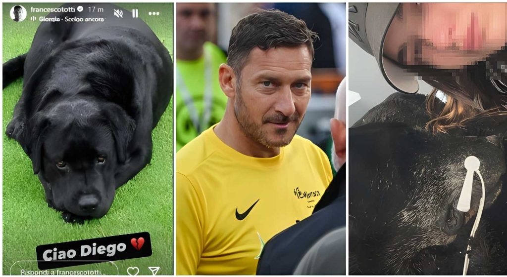 Addio a Diego: il labrador di casa Totti-Blasi commuove i social